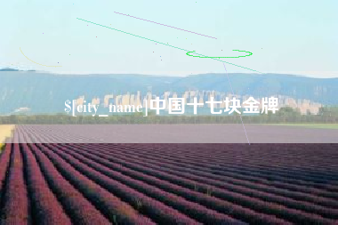 固始中国十七块金牌