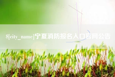 固始宁夏消防报名入口官网公告