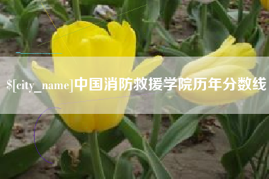 固始中国消防救援学院历年分数线