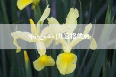 固始九宫格优点