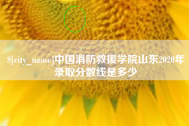固始中国消防救援学院山东2020年录取分数线是多少