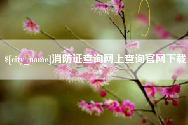 固始消防证查询网上查询官网下载