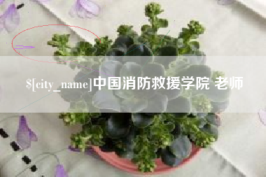 固始中国消防救援学院 老师