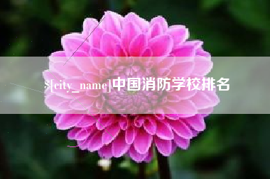 固始中国消防学校排名
