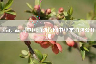 固始中国消防官网中小学消防公开课
