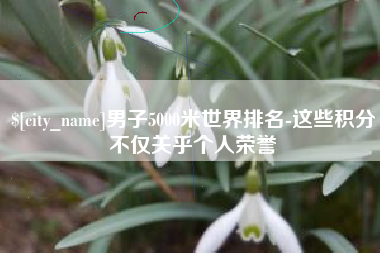固始男子5000米世界排名-这些积分不仅关乎个人荣誉