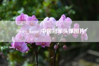 固始中国冠军头像图片