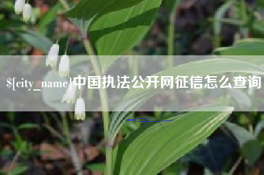 固始中国执法公开网征信怎么查询