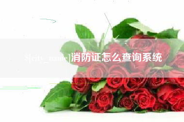 固始消防证怎么查询系统