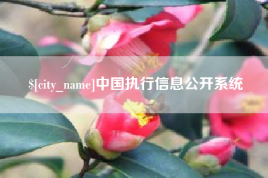 固始中国执行信息公开系统