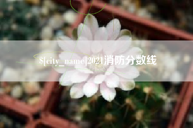 固始2021消防分数线
