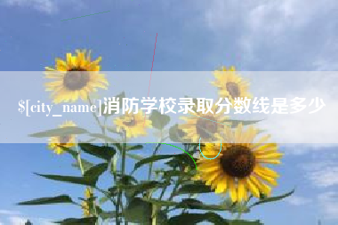 固始消防学校录取分数线是多少