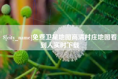 固始免费卫星地图高清村庄地图看到人实时下载