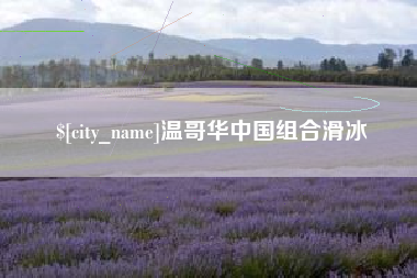 固始温哥华中国组合滑冰