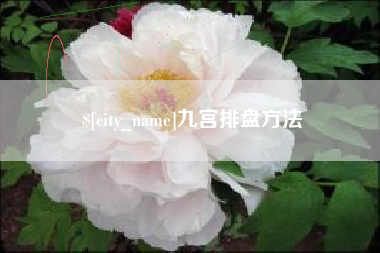 固始九宫排盘方法