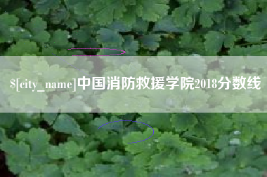 固始中国消防救援学院2018分数线