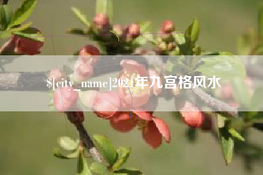 固始2021年九宫格风水