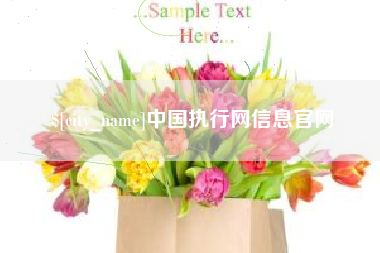 固始中国执行网信息官网