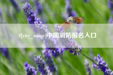 固始中国消防报名入口
