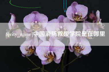 固始中国消防救援学院是在哪里