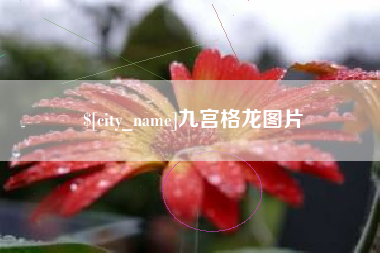 固始九宫格龙图片