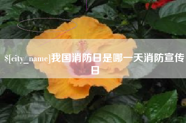 固始我国消防日是哪一天消防宣传日