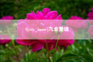 固始九金是谁