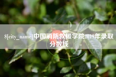 固始中国消防救援学院2019年录取分数线