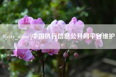 固始中国执行信息公开网平台维护