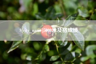 固始5000米及格成绩