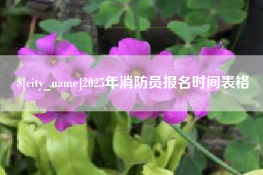 固始2025年消防员报名时间表格