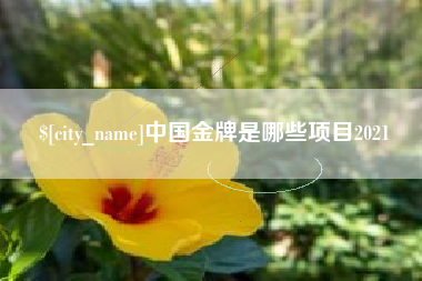 固始中国金牌是哪些项目2021