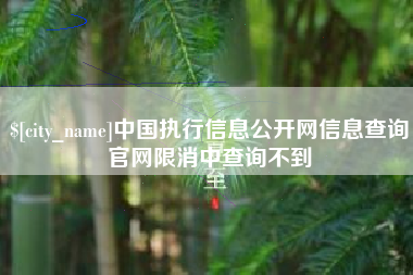 固始中国执行信息公开网信息查询官网限消中查询不到