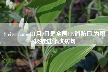 固始11月9日是全国119消防日,为积极推进修改病句