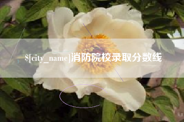 固始消防院校录取分数线