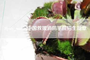 固始中国救援消防学院招生简章