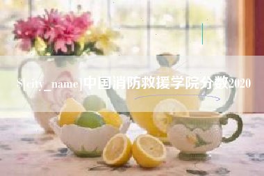 固始中国消防救援学院分数2020