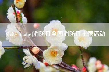 固始消防日全国消防日主题活动