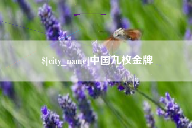 固始中国九枚金牌