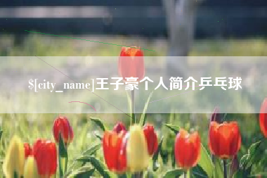 固始王子豪个人简介乒乓球