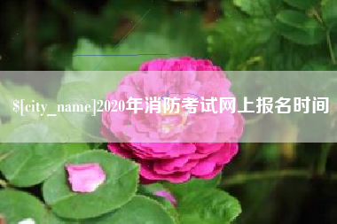 固始2020年消防考试网上报名时间