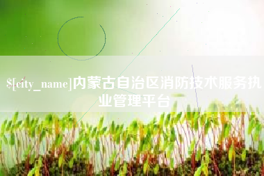 固始内蒙古自治区消防技术服务执业管理平台
