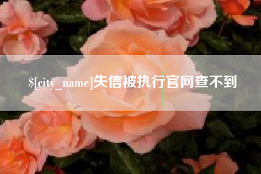 固始失信被执行官网查不到