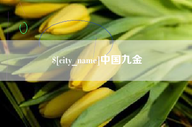 固始中国九金