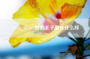 固始看看王子豪长什么样