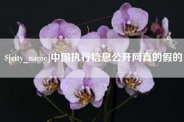 固始中国执行信息公开网真的假的