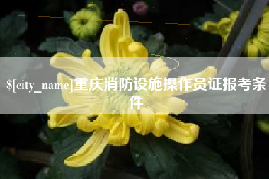 固始重庆消防设施操作员证报考条件