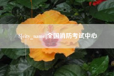 固始全国消防考试中心