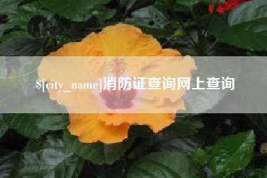固始消防证查询网上查询