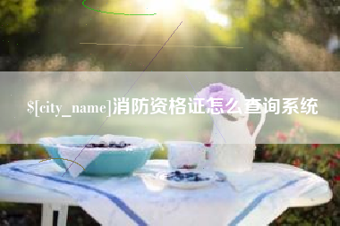 固始消防资格证怎么查询系统